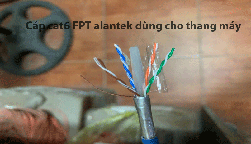 Cáp mạng cho thang máy cat6 FTP Alantek 301-60FP80-DSBU