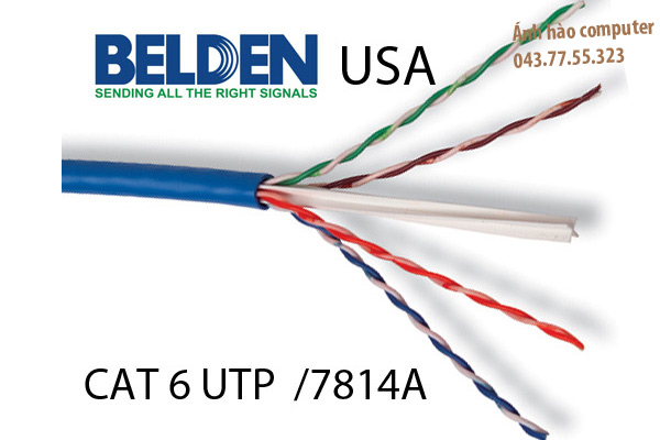 Cáp mạng cat6 UTP chính hãng Belden 8 lõi đồng nguyên chất