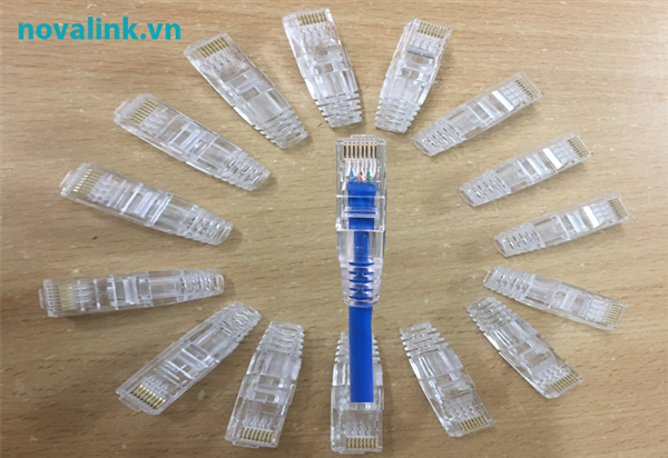 Đầu chụp mạng là gi?