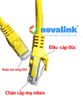 Dây cáp mạng đúc cat6 mầu vàng