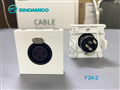 Module ,Nhân Âm Thanh Kalon Type 45 Sinoamigo F24-2 Chính Hãng | Dùng Cho Ổ Âm Sàn, Âm Bàn