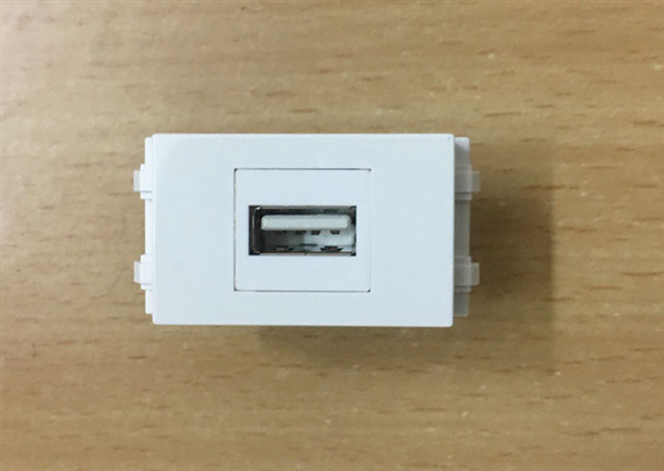 Nhân USB2.0  lắp ổ âm sàn, âm tường chuẩn wide lắp mặt panasonic